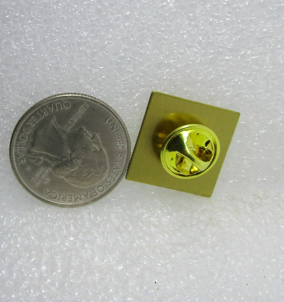 Teamwork Pin