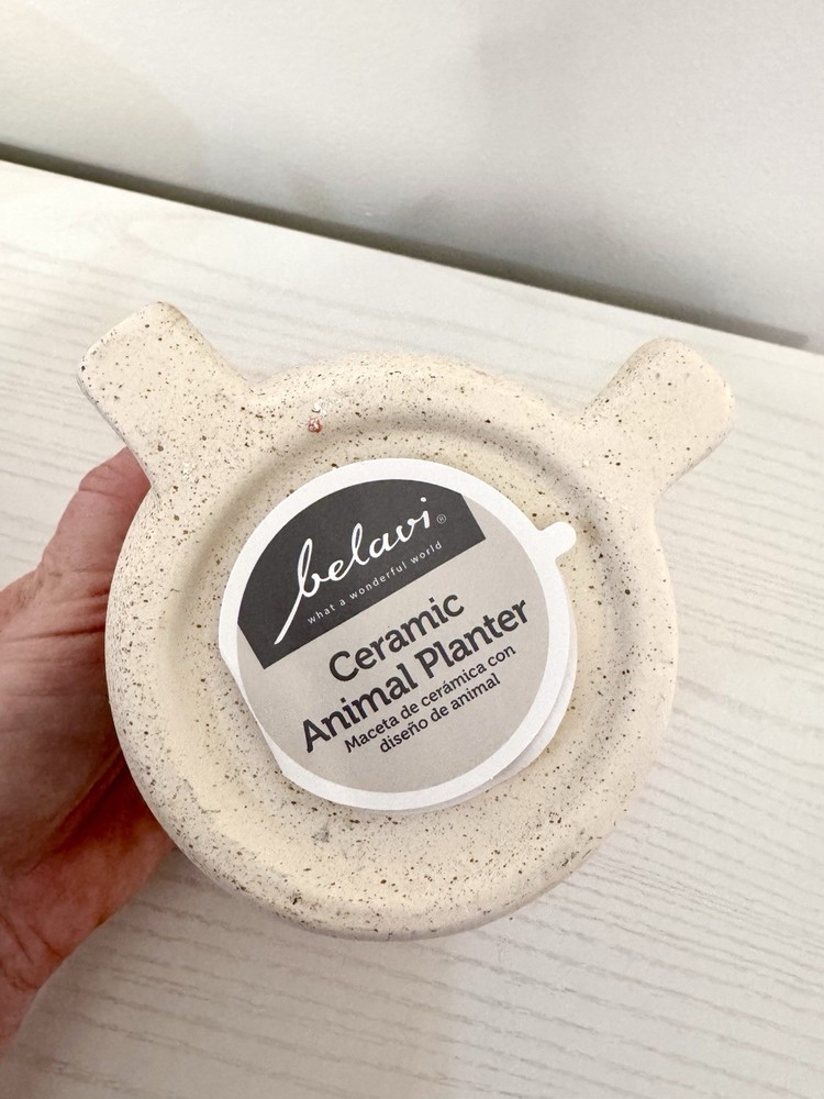 Mushroom Ceramic Planter With Dreinage