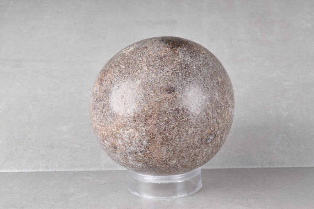 Large Dinosaur Bone Sphere from Morocco 7.7 cm # 21479