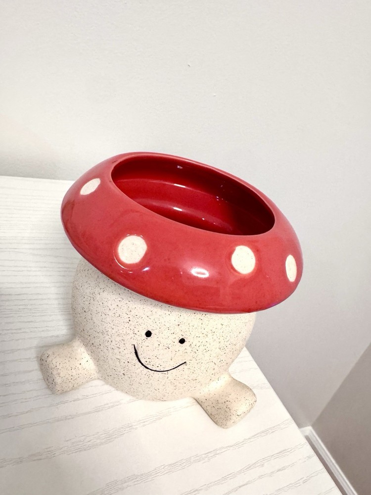 Mushroom Ceramic Planter With Dreinage
