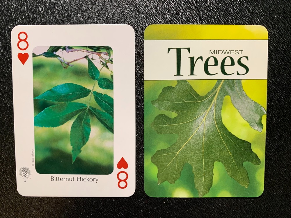 Swap Playing Card    MIDWEST TREES      Bitternut Hickory     SINGLE CARD