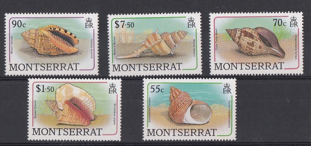 MONTSERRAT 1988 MNH SEA SHELLS