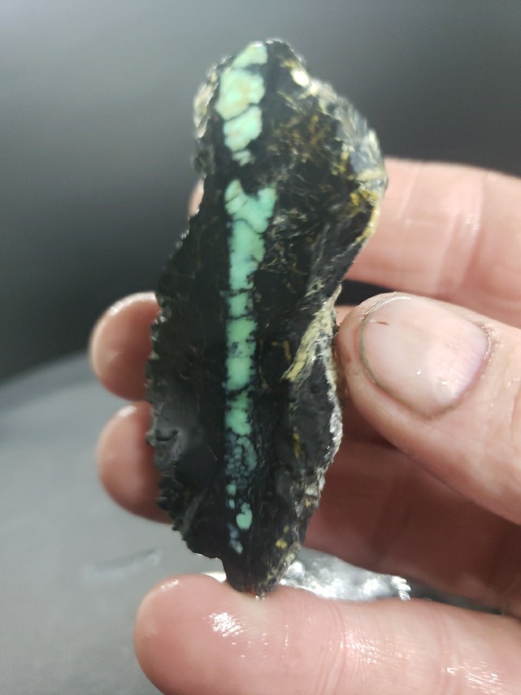 Nevada Saguaro Variscite Slab