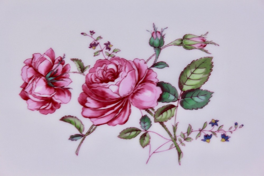 SPODE COPELAND CHINA MARITIME ROSE 16" OVAL SERVING PLATTER - MINT