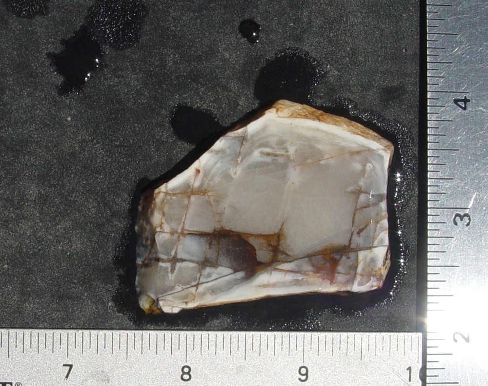 Autumn Jasper Lapidary Slab         T1281