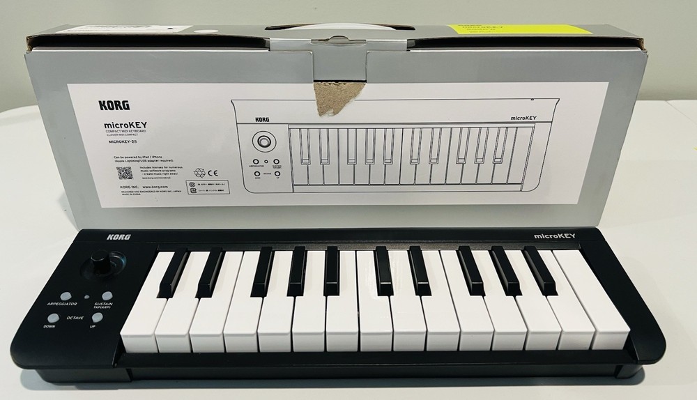 KORG microKEY-25 USB Powered MIDI Keyboard Controller + USB Cable (Not Wireless)