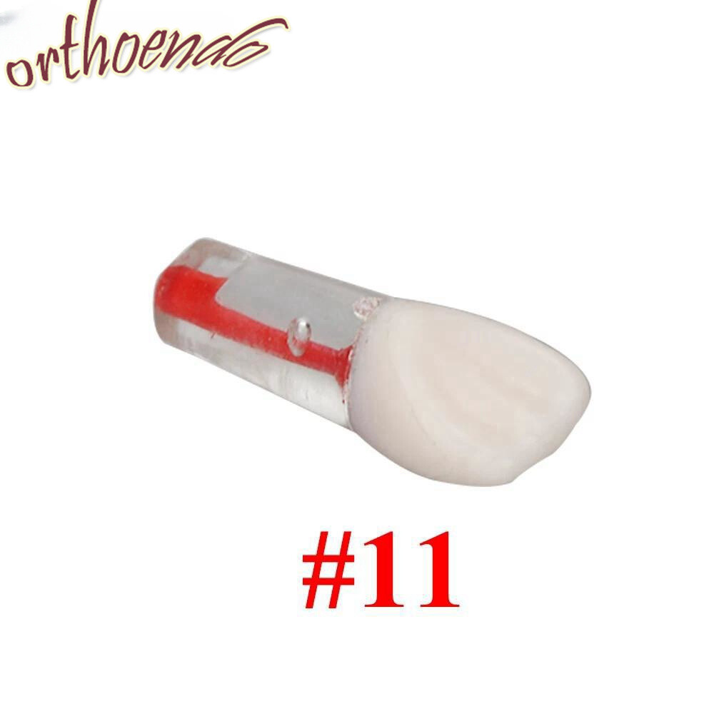 New Dental Endo Root Canal Study Model RCT Practice Block Pulp Cavity 10 Sizes