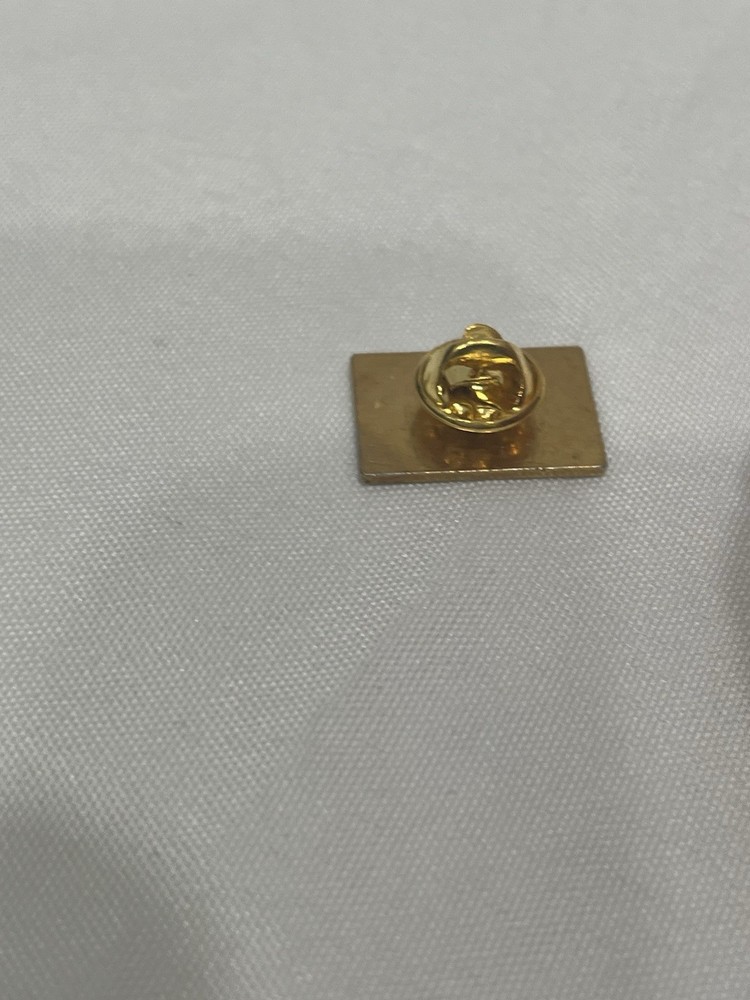 Publix pin Tie pin B17 COLLECTION SELL DOWN