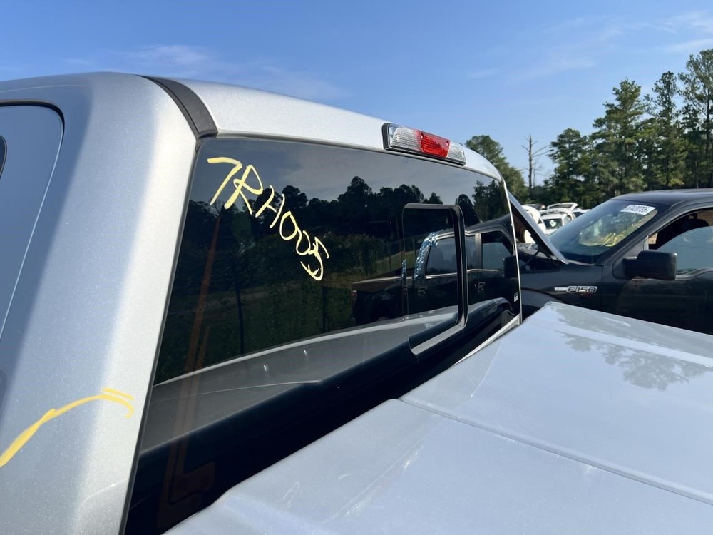 F150      2018 High Mounted Stop Light 104881013