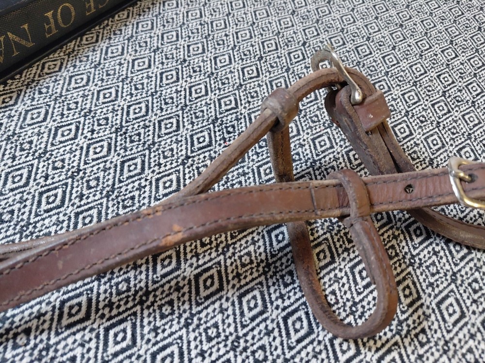 Circle Y Browband Leather Headstall With Bit