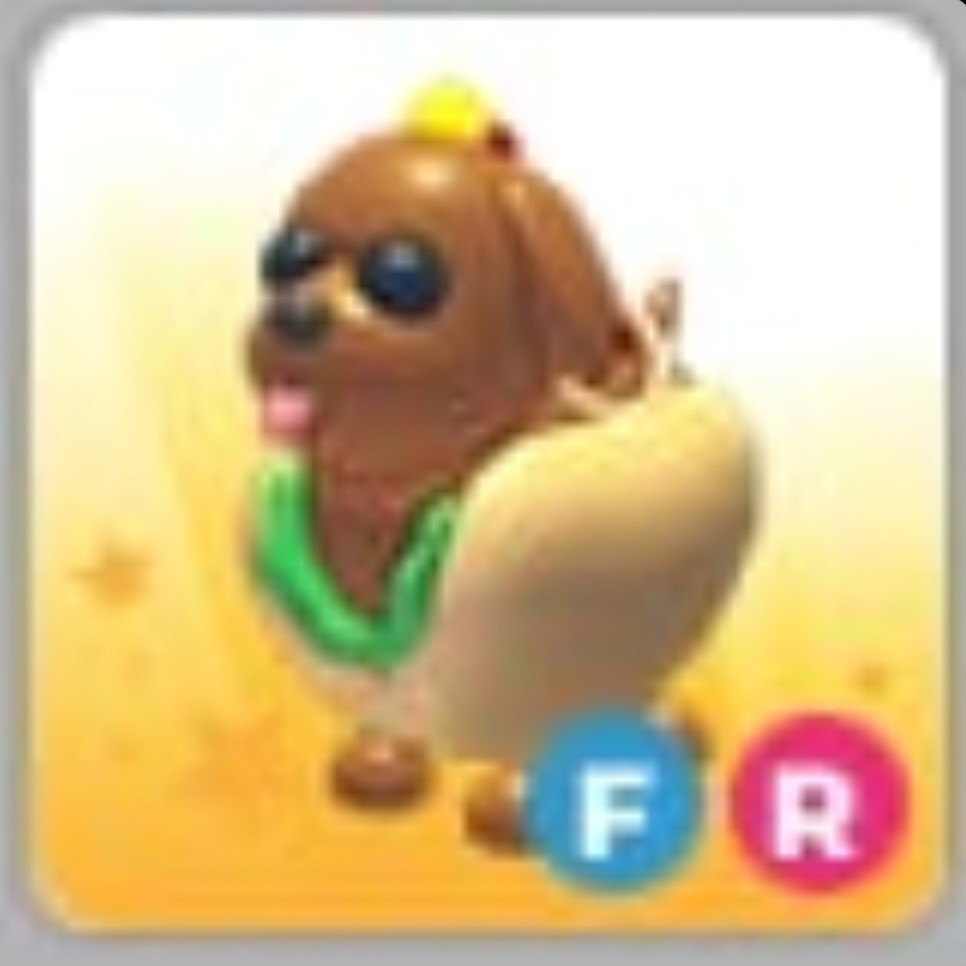 Hot Doggo | Adopt Now