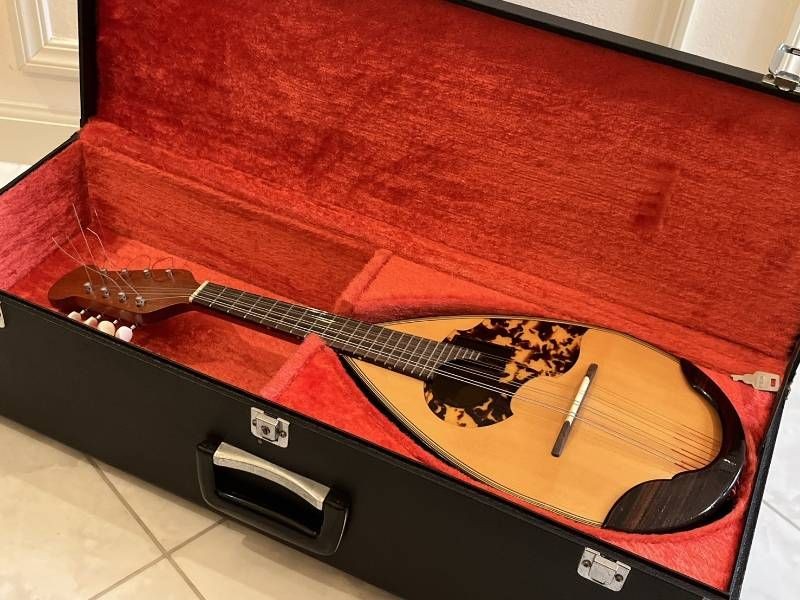 Minoru Noguchi Mandolin String Instrument with Hard Case