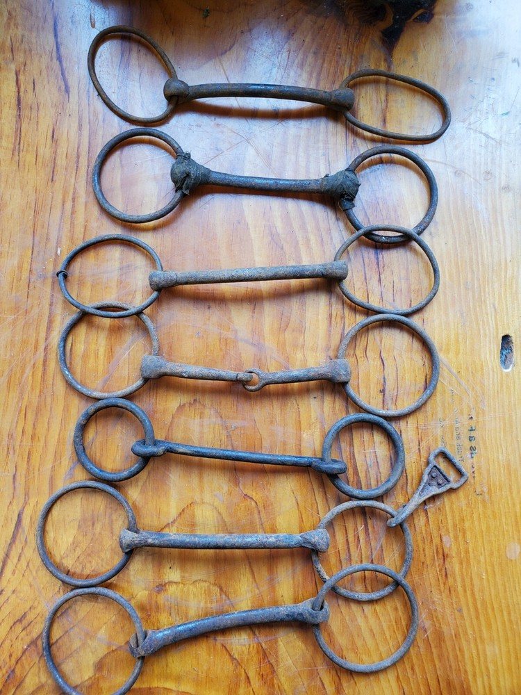 Vintage Horse Bits