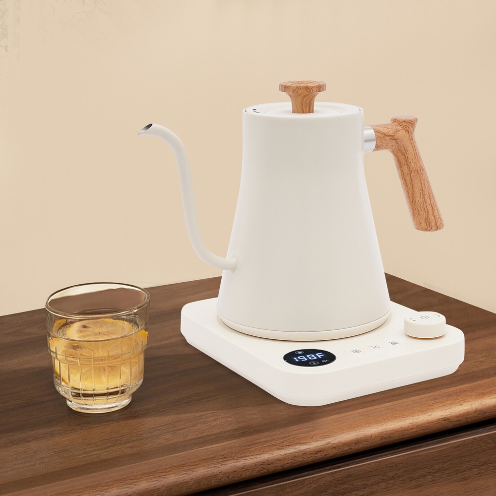 Tabletop Electric Gooseneck Kettle, 1200W with Adjustable Temp & Memory Function