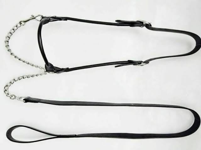 Western Leather Halter with Silver Fitting with Lead Chain All Size Available.