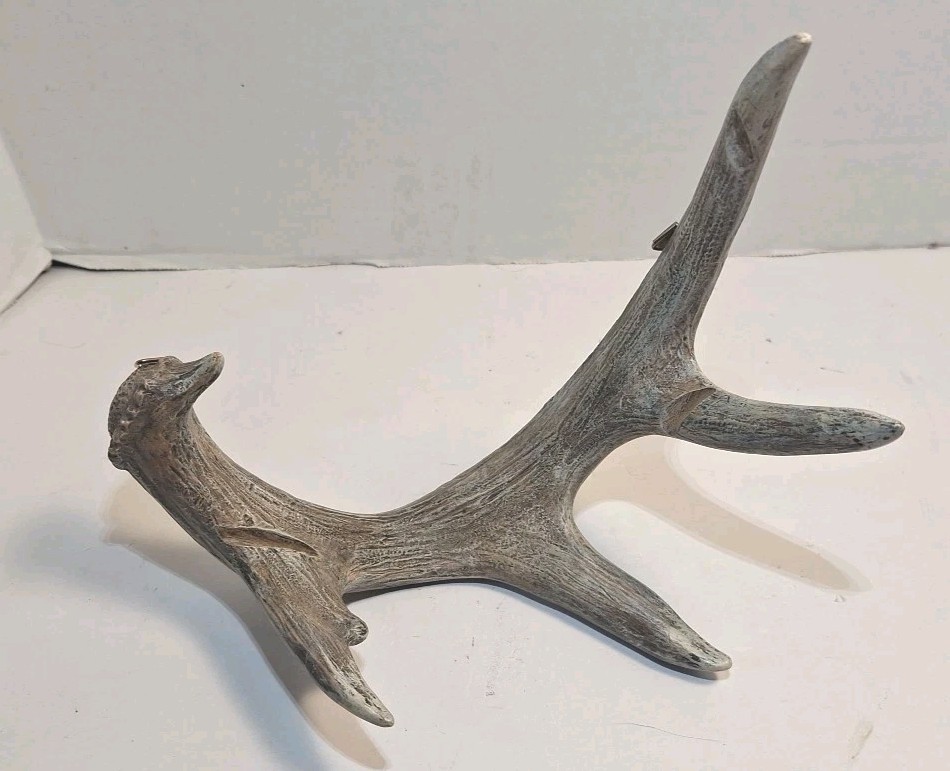 6 Point Deer Antler Wall Mount Antler Decor