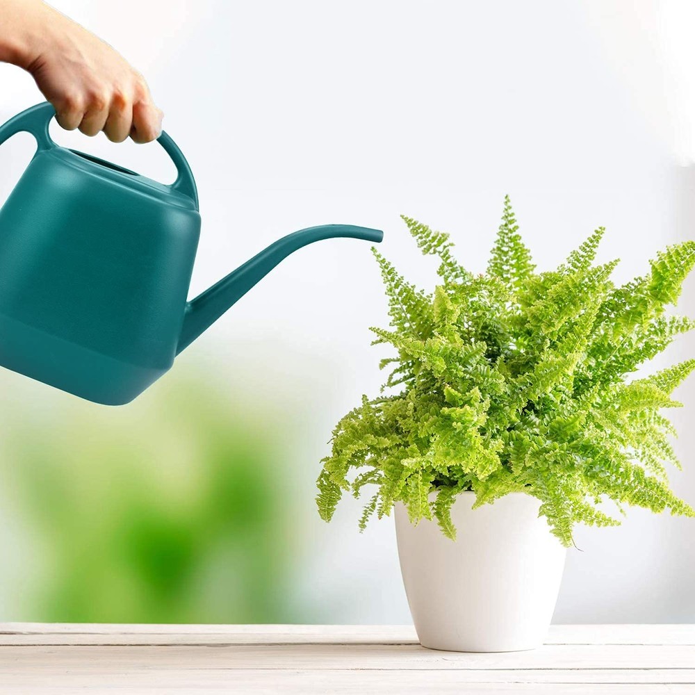 Plastic Watering Can 1 Gallon Green