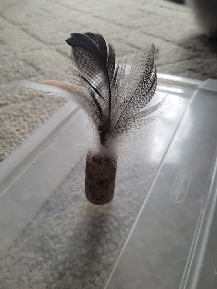 Cork Feather play cat toy