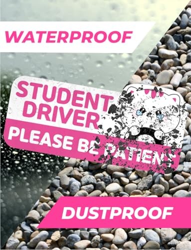 Student Driver Car Magnet Cute - Weather - Resistant Colorful - Rectangular Cat