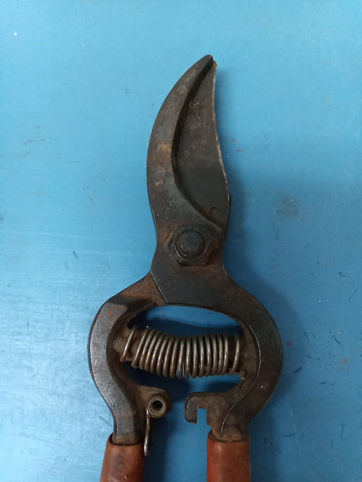 Unbranded Vintage Clippers (LL)