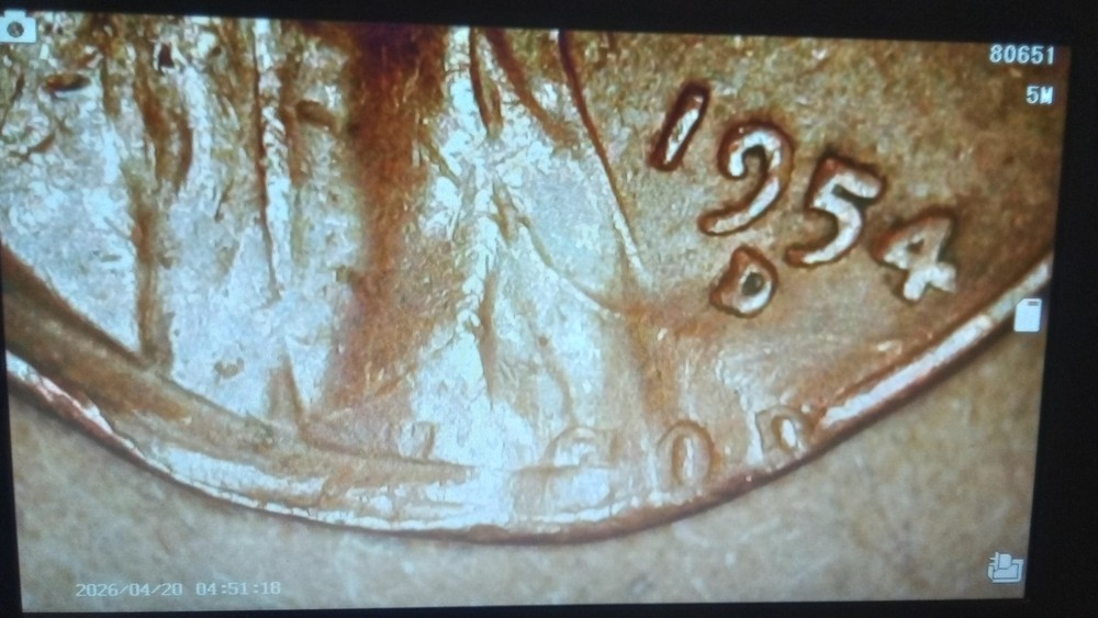1954 D Lincoln Wheat Cent Error Coin Double Struck