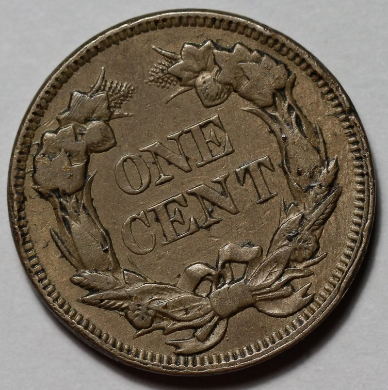 1857 Flying Eagle Cent - Rim Damage - US 1c Penny Coin