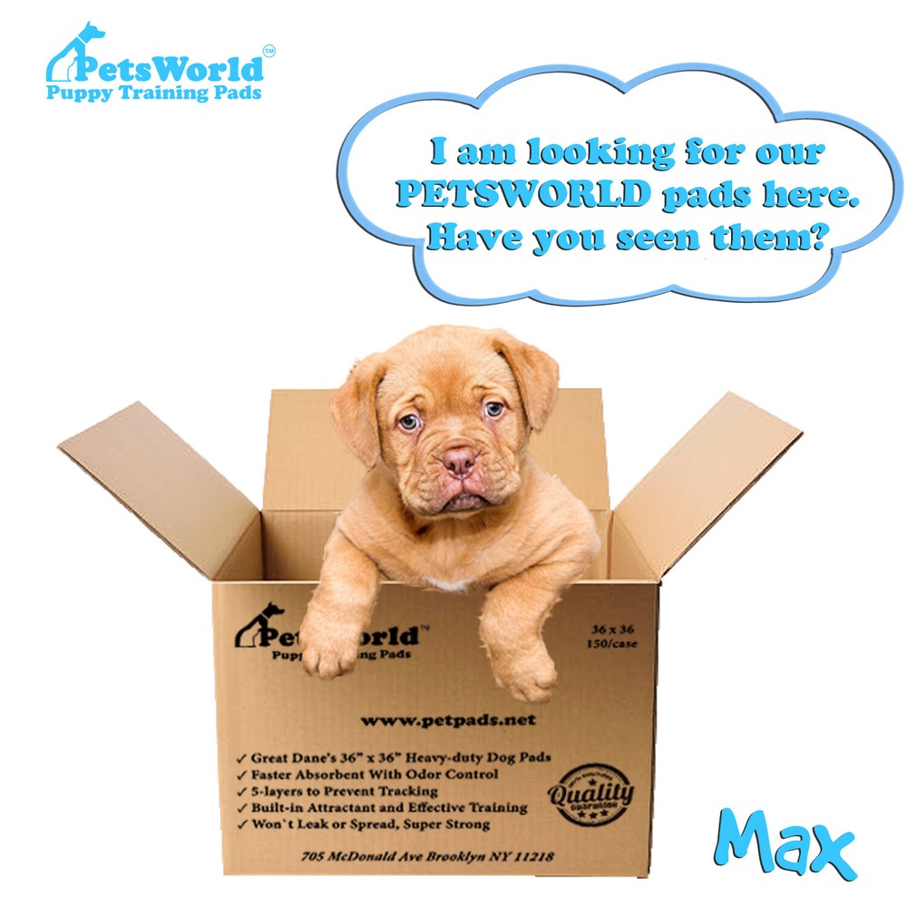 PETSWORLD Great Dane Dog Training Pads 36x36, Case 100