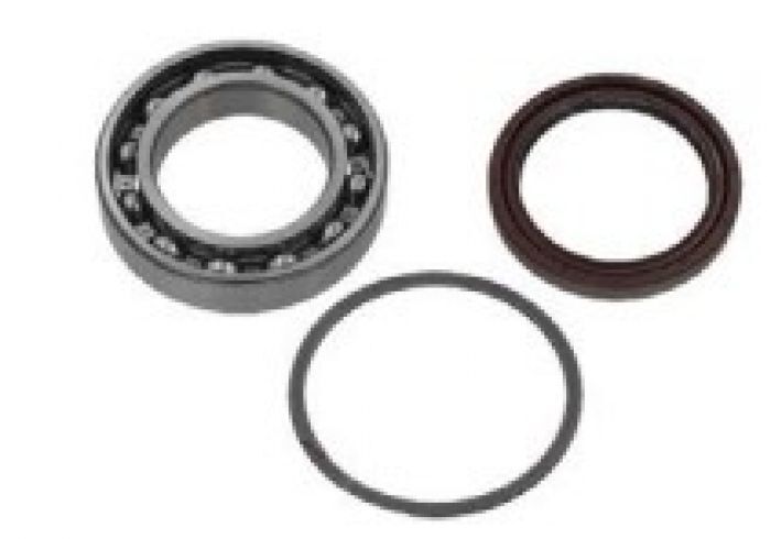SPI SM-03212 | Chaincase Bearing Kit