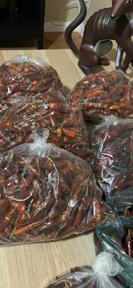 Chile Costeño Seco 1lb