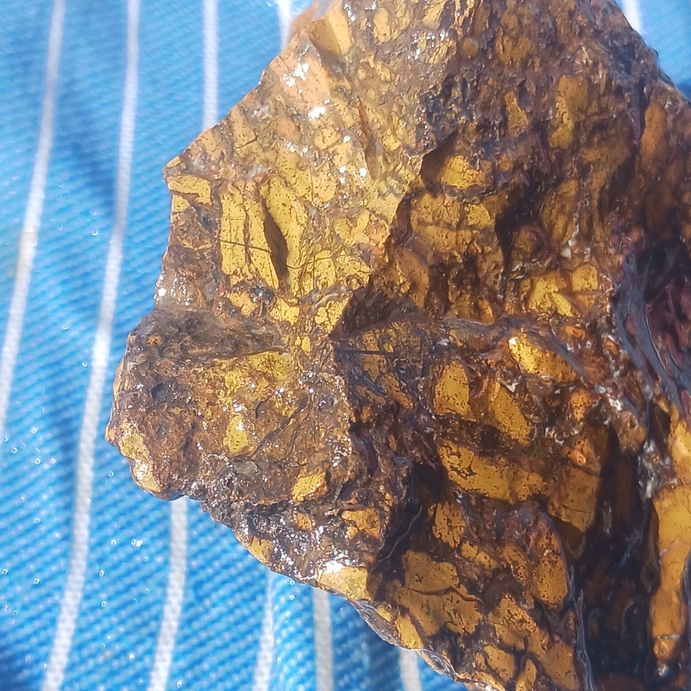 Jasper Rough Specimen Display Lapidary Potential