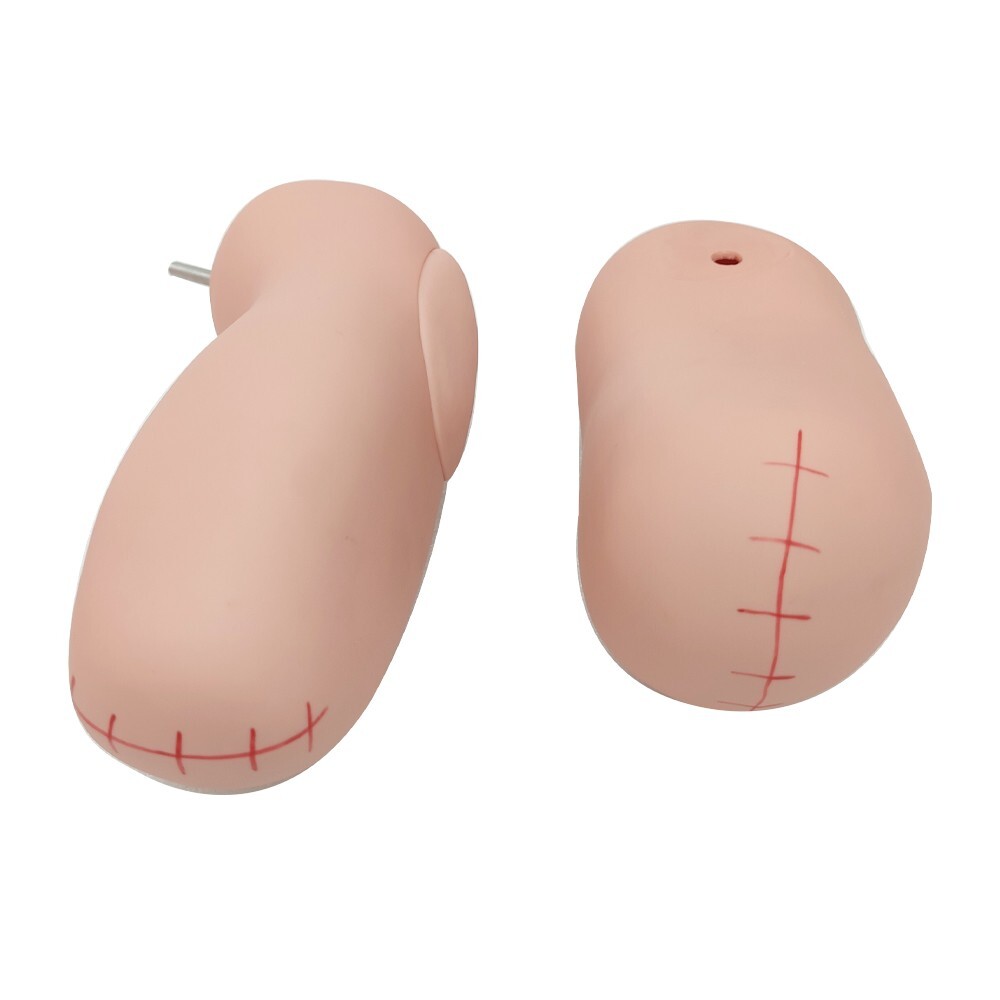 Multi Functional Trauma Care Manikin Nursing Manikin Training 24 Wound Modules