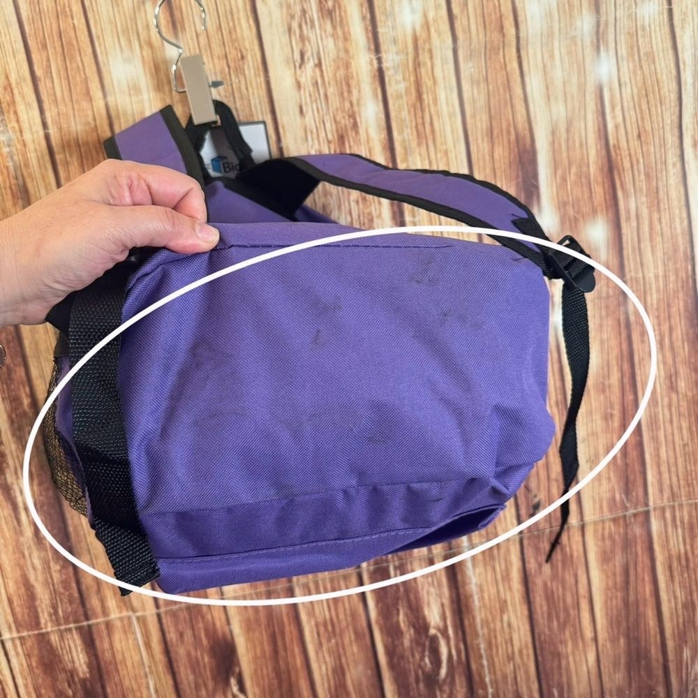 BigBox Nylon Purple Backpack 17 in