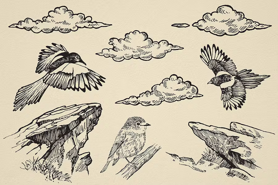 TRENDING Nature Forest Hand-Drawn Vector Elements - 31 Unique Illustrations