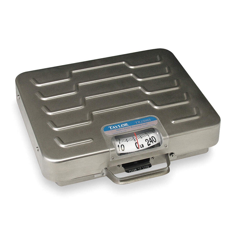 TAYLOR TR250 General Purpose Utility Bench Scale 3NZG5