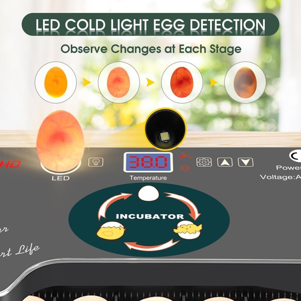 12 Egg Incubator - Automatic Egg Turner, Temperature Control, Built-in Candle...