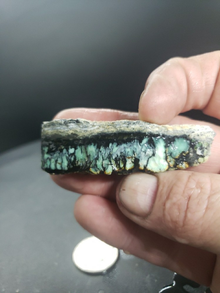 Nevada Saguaro Variscite Slab