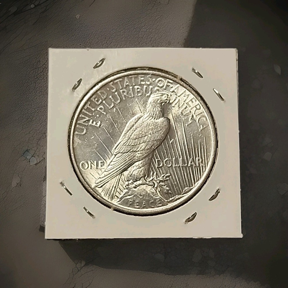 1923 Peace Silver Dollar☆Brilliant Uncirculated☆Blast White☆