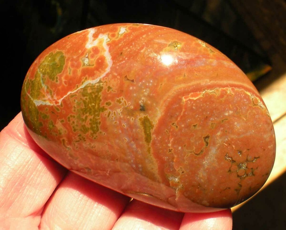 Ocean Jasper Palm Stone sc687u