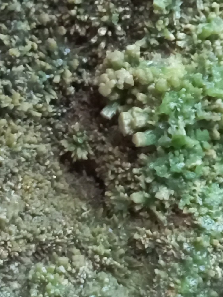 PIROMORPHITE