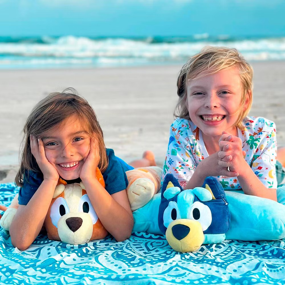 Bluey Large Pillow Pets