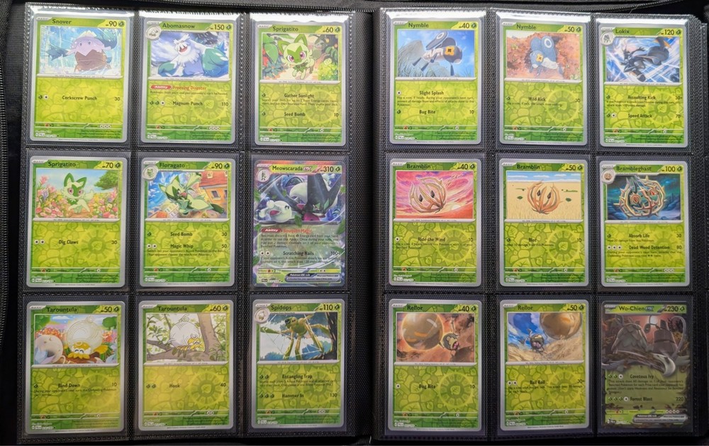 Pokémon Paldea Evolved Master Set