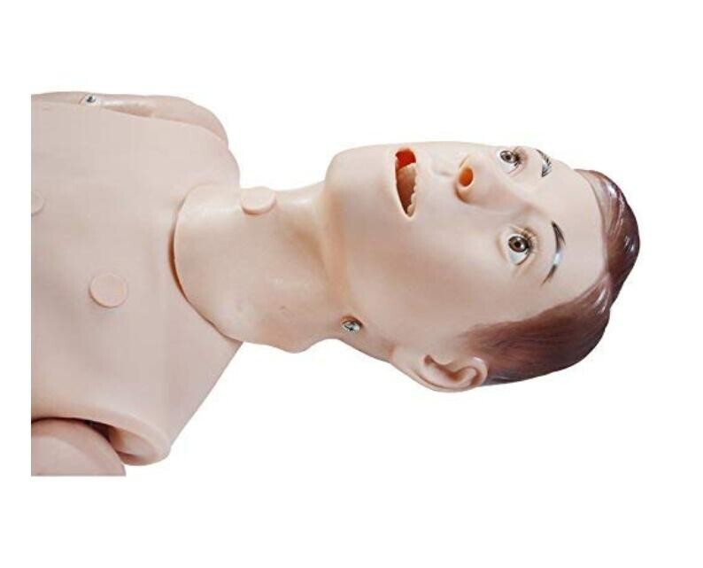 Patient Care Teaching Model Human Manikin MAN Medical Education Study Display