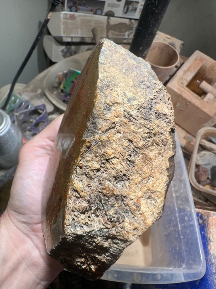 Dinosaur bone polished 3.5 lb large cell specimen.