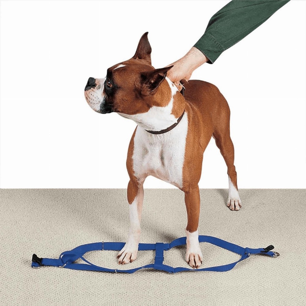 2 Step Pet Harness
