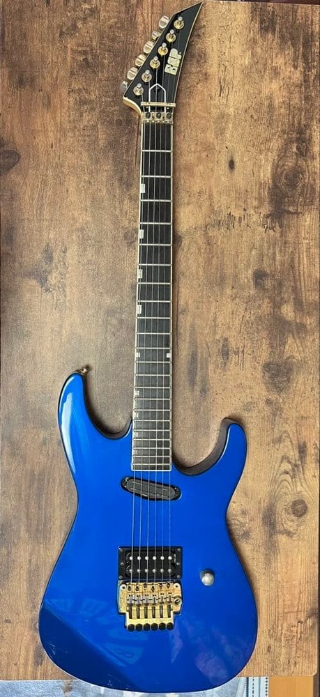 ESP Guitar Gig Bag Strap Safe Packing!