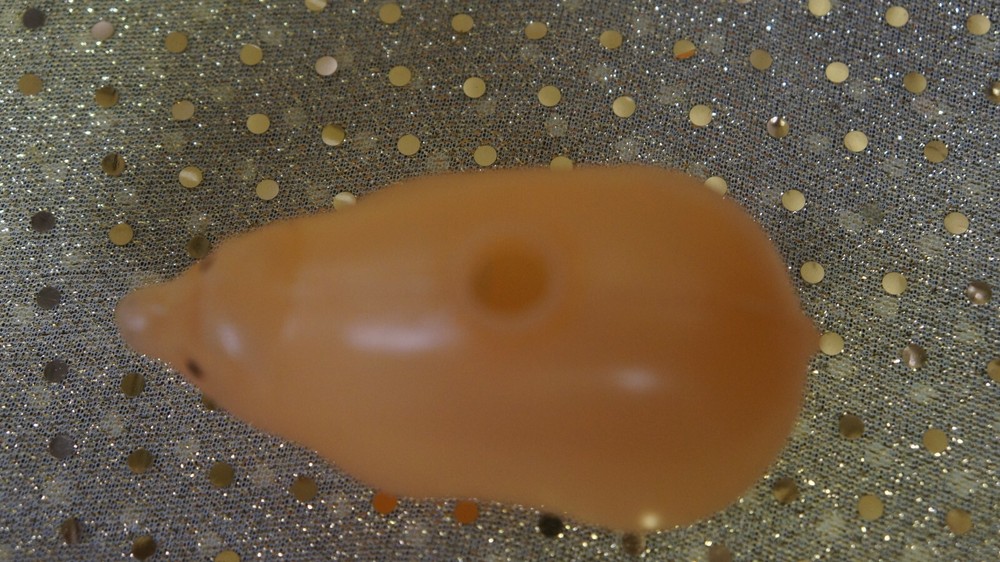 8 Plastic Pig String Light Set Party Decoration no light strings pigs only 3"