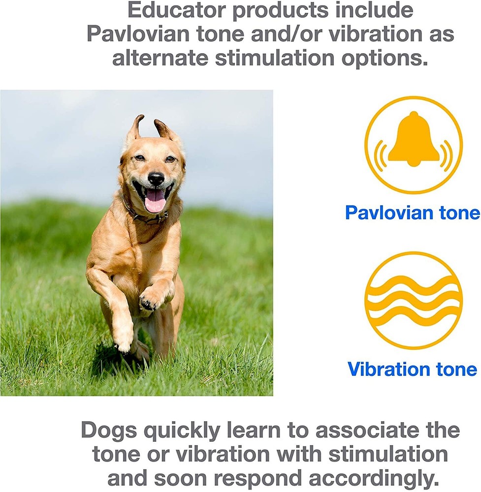 E-Collar Technologies ET-400 Replacement TRANSMITTER ONLY - Lavender NEW COLOR!