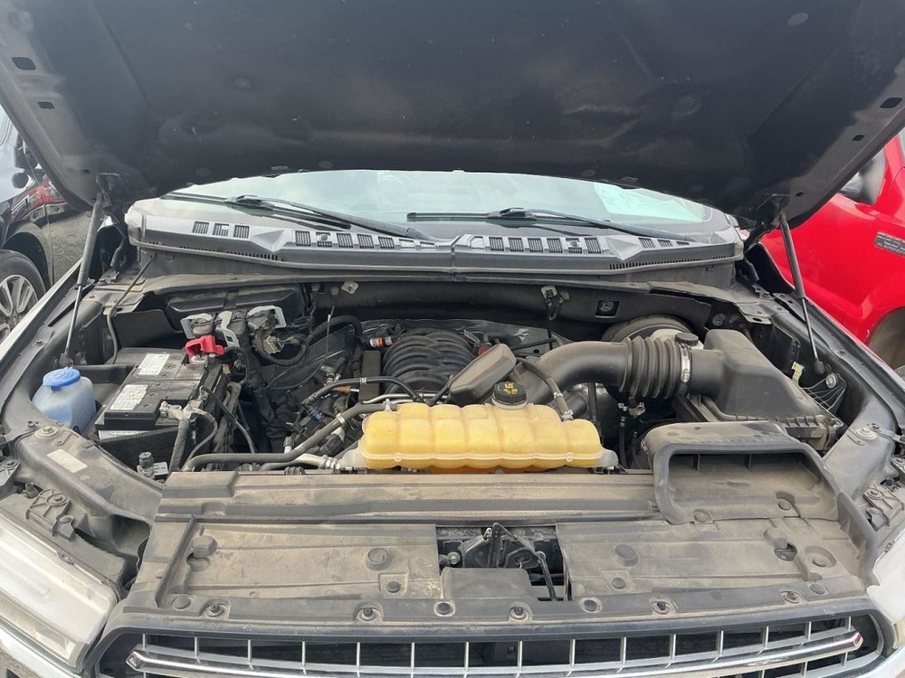 F150 2020 Glove Box 4980079