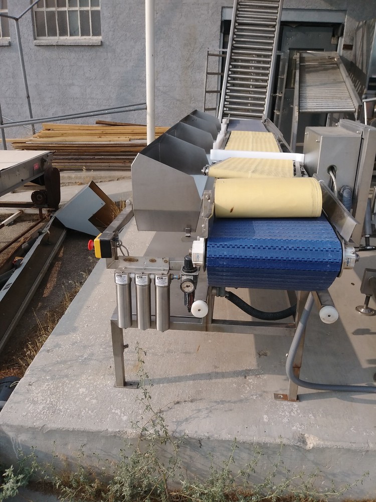 AEW DELFORD SORTING CONVEYOR 920-04
