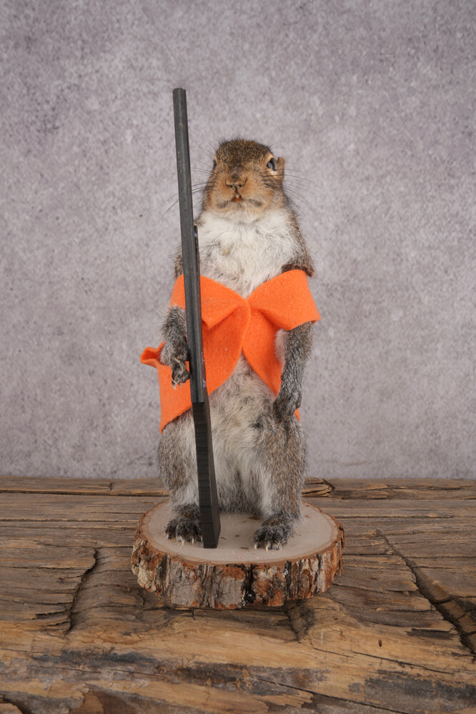 Hunting Squirrel SKU 3046